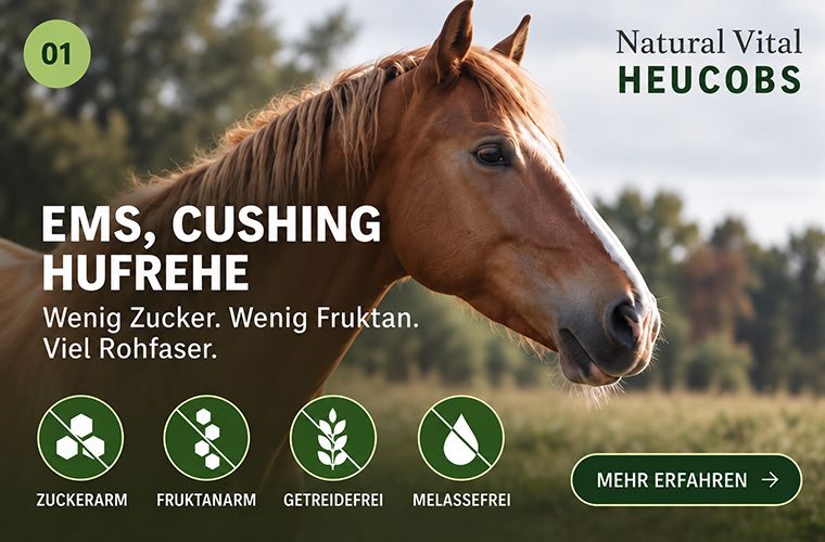 Lindberg Natural Vital Heucobs Raufutter für EMS Cushing, Hufrehe Pferde und Senioren, zuckerarm, getreidefrei, fruktanarm