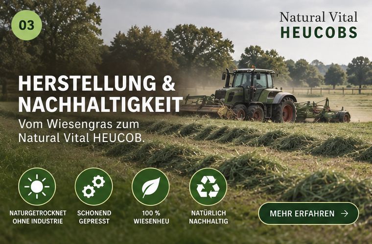 Lindberg Equestrian snax supplements Natural Vital Heucobs natürlich und nachhaltig